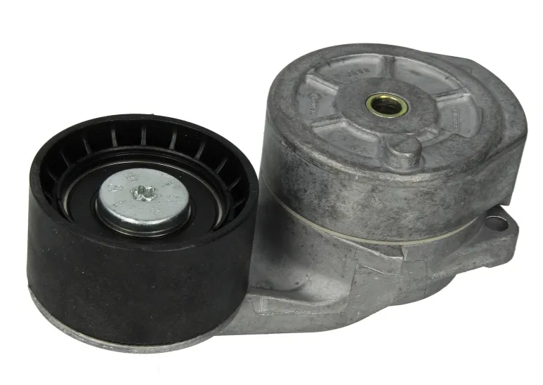 Riemspanner Poly V-riem